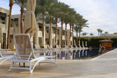 resort swimming pool for relaxation with sunbeds and palm trees