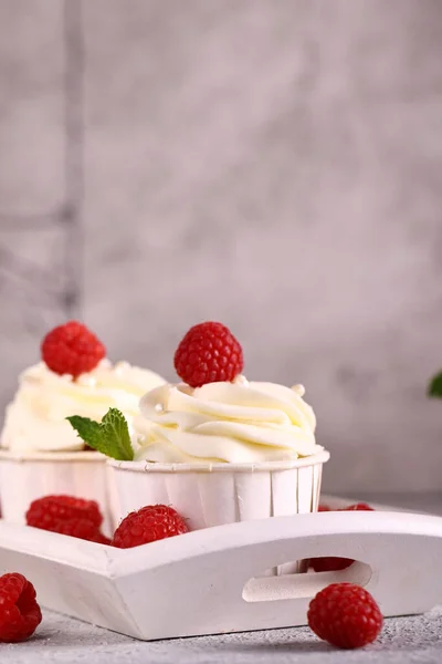 Cupcake Dessert Frais Crème Vanille — Photo