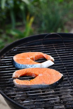 organik bbq ızgara piknik somonu sağlıklı yiyecekler