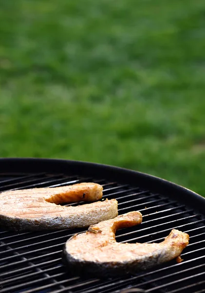 Barbecue Bio Grill Pique Nique Saumon Alimentation Saine — Photo