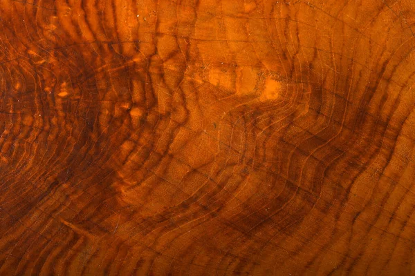 木制背景橄榄树装饰 — 图库照片