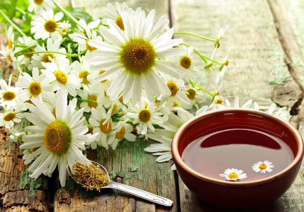 Organic Natural Healthy Chamomile Tea Wooden Table — Stock Photo, Image