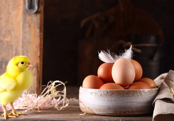 Doğal Organik Tarım Ürünleri Yumurtaları — Stok fotoğraf