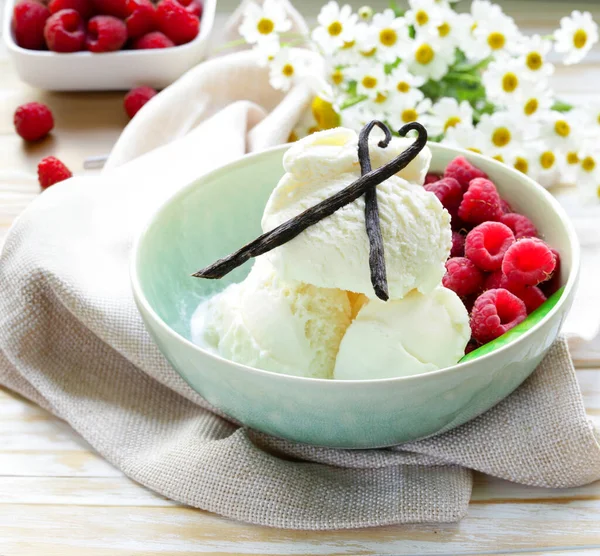 Přírodní Vanilková Zmrzlina Čerstvými Bobulemi — Stock fotografie
