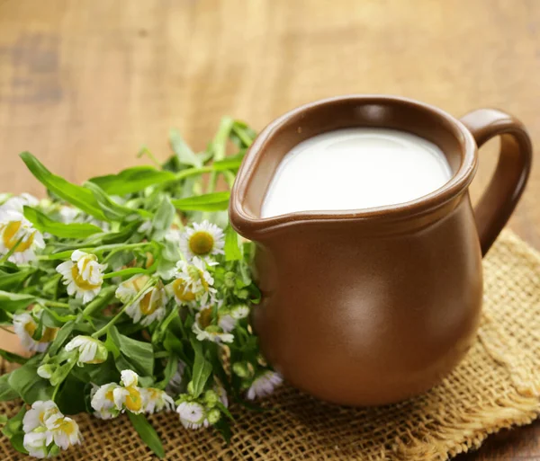 Milch Einem Keramikkrug Bio Produkt — Stockfoto