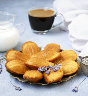 Fransız çerezleri Madeleine kabukları şeklinde