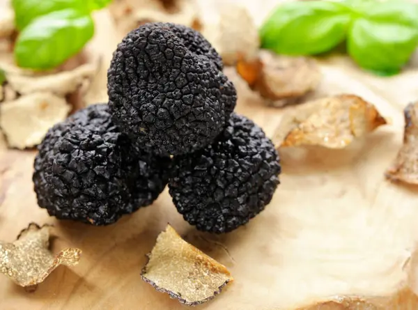 Organic Gourmet Mushroom Black Truffle Seasoning — Stock Photo, Image