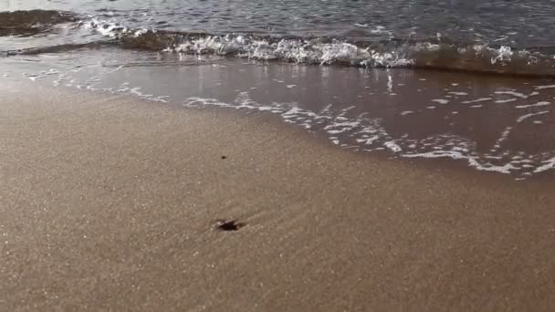 海や海の波が海岸に転がる ロイヤリティフリーのストック動画