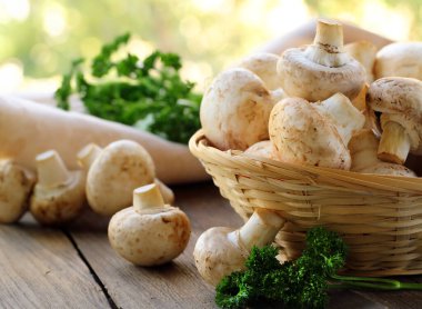 Masada doğal organik mantar şampiyonları