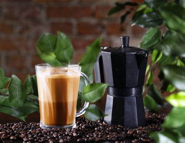 Kahve taneli sade kahve demliği.