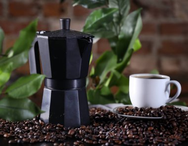 Kahve taneli sade kahve demliği.