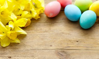 Bahar çiçekleri nergisler Paskalya