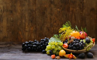 Sonbahar natürmort organik ürün