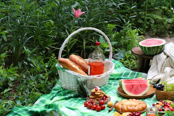 Picnic Nature Checkered Blanket Fruit Stock Picture