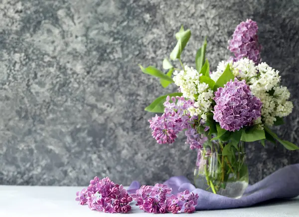 Fresh Beautiful Flowers Lilac White Lilac Royalty Free Stock Photos