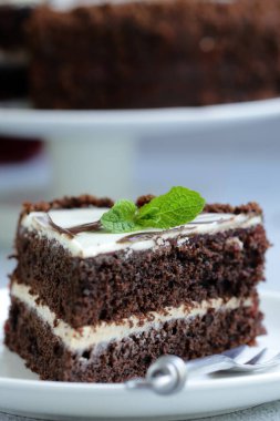 Taze böğürtlenli pasta turtası.