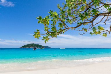 Similan Adaları 'nda kumlu sahilde dalgaların çarptığı güzel kumlu sahil. Similan Ulusal Parkı, Phang nga Tayland' daki 4 numaralı tropikal deniz adası.