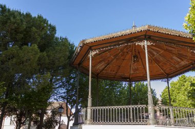 İspanya 'nın Zamora kentindeki Toro kasabasındaki parkta, büyük bir ağacın yanında.