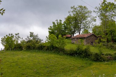 Kuzey İspanya 'da Asturias' ta yeşil bir yamacın tepesinde küçük bir kulübe.