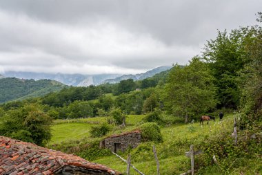 Kuzey İspanya 'da Asturias' ta yeşil bir yamacın tepesinde küçük bir kulübe.