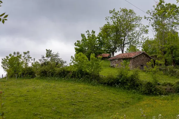 西班牙北部阿斯图里亚斯一座绿色山坡顶上的小木屋 — 图库照片