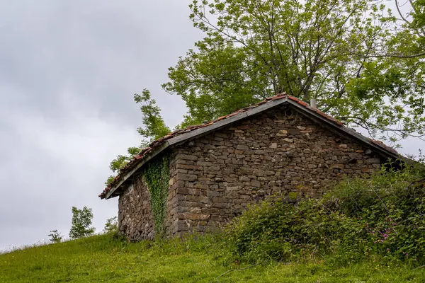 西班牙北部阿斯图里亚斯一座绿色山坡顶上的小木屋 — 图库照片