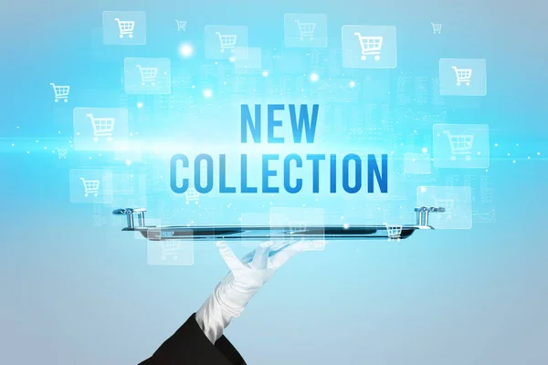 New Collection Intetion Online Shopping Concepts — 스톡 사진