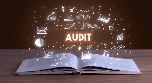 Audit Inscription Coming Out Open Book Business Concept — Stock Photo, Image