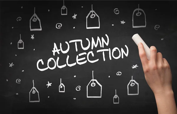 Disegno Mano Autumn Collection Iscrizione Con Gesso Bianco Lavagna Concetto — Foto Stock