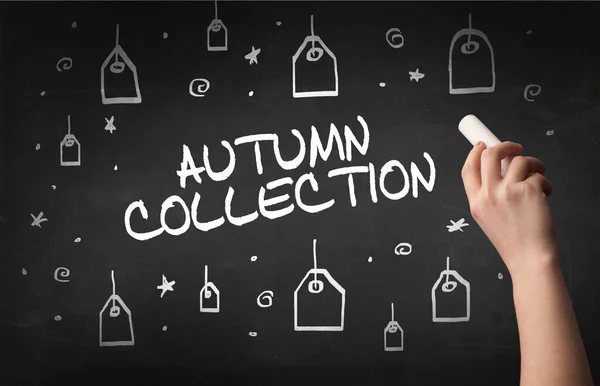 Χειροποίητο Σχέδιο Autumn Collection Επιγραφή Λευκή Κιμωλία Στον Πίνακα Online — Φωτογραφία Αρχείου