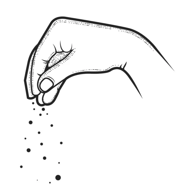 Χέρι Του Αρχιμάγειρα Σκόνη Ένα Πιάτο Καρυκεύματα Πρέζα Αλάτι Μπαχαρικά — Διανυσματικό Αρχείο