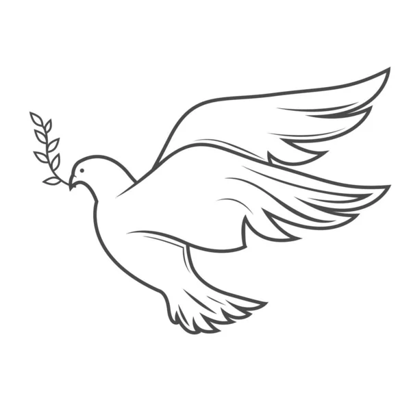 Dove Peace Flying Olive Twig Beak Outline Pigeon Symbol Good — Stock Vector