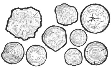 Ağaç gövdesi kesikleri, tahta testeresi kesikleri seti, kereste dokusu, ağaç büyüme halkalarının bir bölümü, vektör.