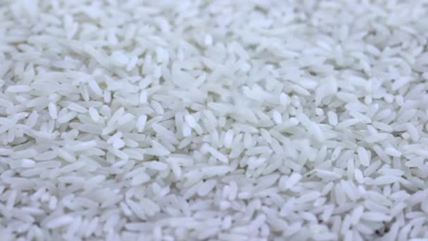 Ryż Biały Długoziarnisty — Wideo stockowe