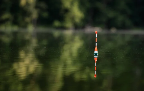 夏の朝に湖にコピースペースで釣りフロート — ストック写真