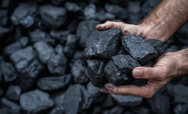 Close Human Hands Holding Pile Coal Copy Space Stock Photo