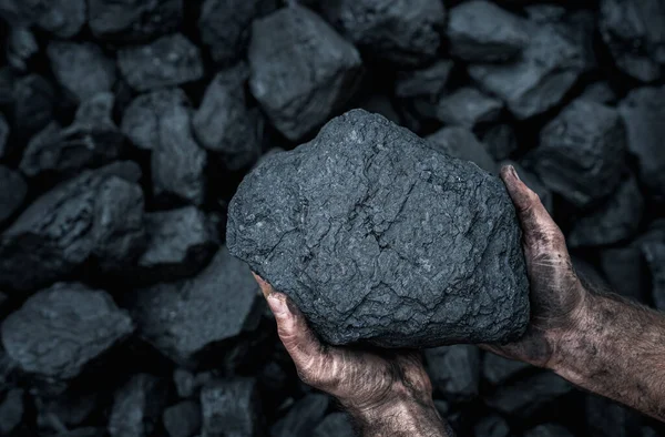 Acercamiento Manos Humanas Sosteniendo Pila Carbón Con Espacio Copia Fotos de stock