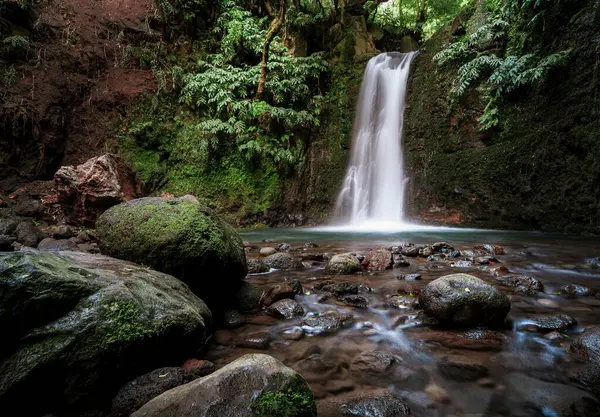 Schöner Wasserfall Versteckt Wald Der Azoren Stockbild