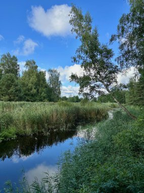 Göl berrak sakin su Jurmala Letonya