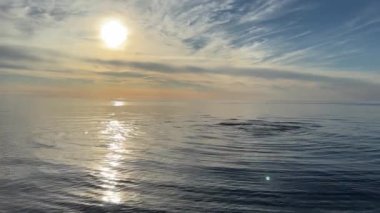 Baltık deniz plajı yaz dalgaları jurmala latvia