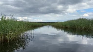 Baltık sahili yaz dalgaları Palanga Klaipeda Litvanya