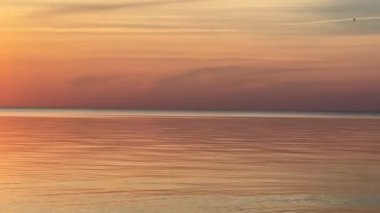 Baltık Denizi Sahili Yaz Dalgaları 