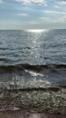 Baltık Denizi Sahili Yaz Dalgaları 