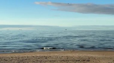 Baltık deniz plajı yaz dalgaları jurmala latvia