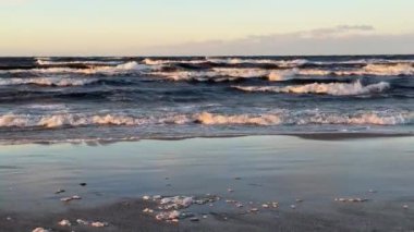 Baltık deniz plajı yaz dalgaları jurmala latvia