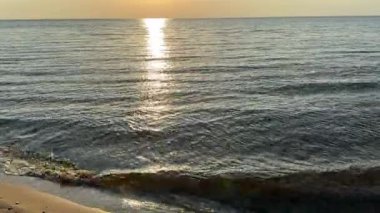 Baltık sahili yaz dalgaları Palanga Klaipeda Litvanya