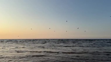 Baltık sahili yaz dalgaları Palanga Klaipeda Litvanya