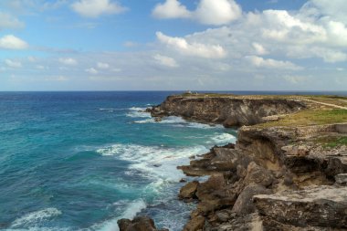 Cancun 'da beyaz kum ve kayalarla Karayip Denizi kıyısı.