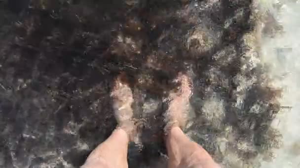 脚踏着美丽的海湾和海景 墨西哥 — 图库视频影像