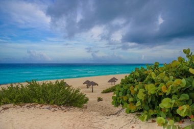 Cancun Quintana Roo Mexico 'daki Zona Hoteleria' daki Karayip sahilinde deniz kıyısında..